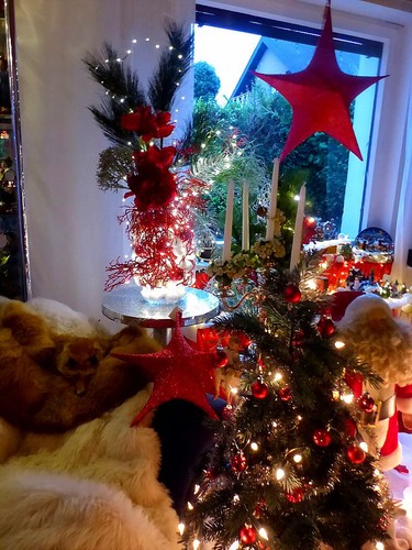 Dekorativer weihnachtsstern - +,