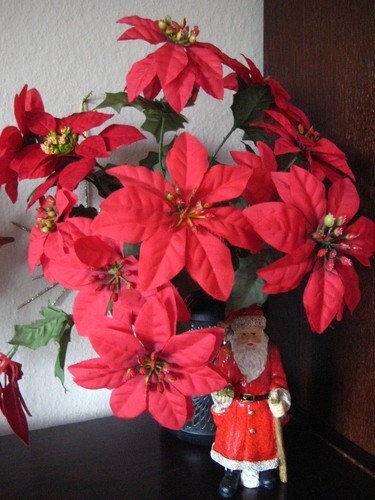 Weihnachtsstern künstlich