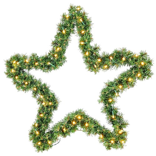 Weihnachtsstern salcar - 40,