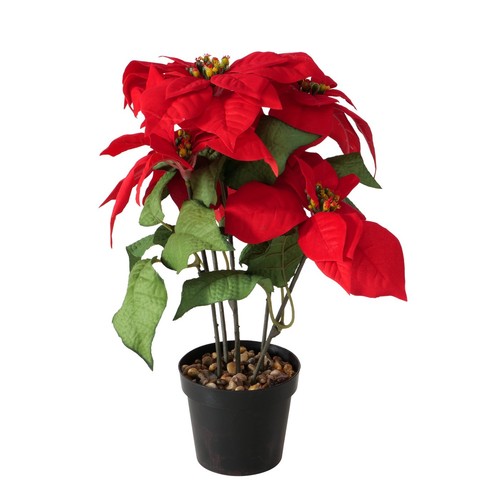 Künstlicher weihnachtsstern - künstlicher,